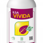 ILSAVIVIDA