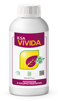 ILSAVIVIDA