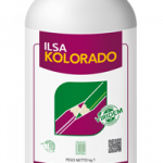 ilsakolorado